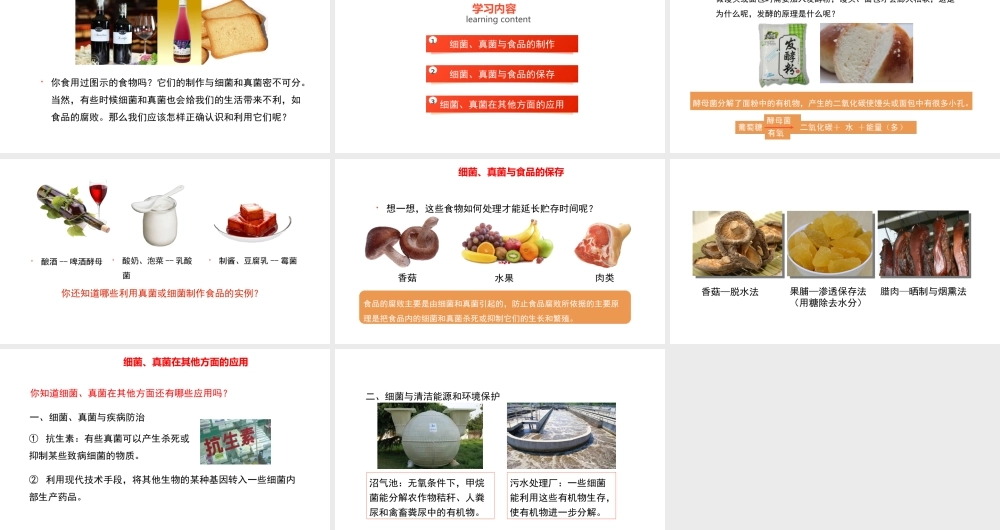 八年级生物上册 5.4.5《人类对细菌和真菌的利用》课件 （新版）新人教版-（新版）新人教版初中八年级上册生物课件