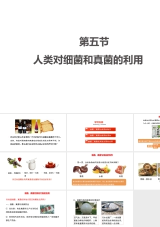 八年级生物上册 5.4.5《人类对细菌和真菌的利用》课件 （新版）新人教版-（新版）新人教版初中八年级上册生物课件