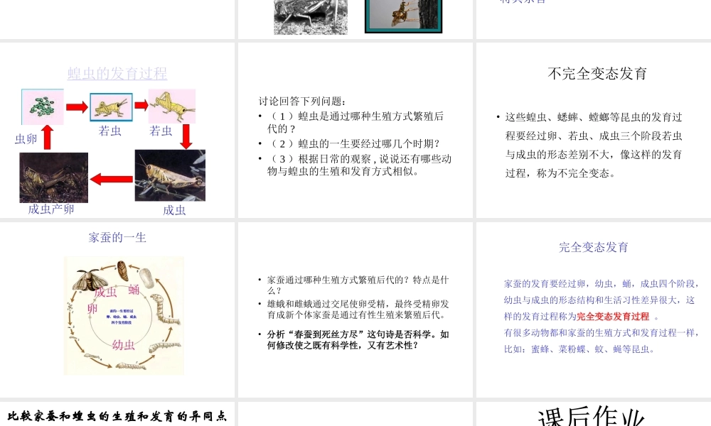 八年级生物上册 昆虫的生殖和发育课件 济南版