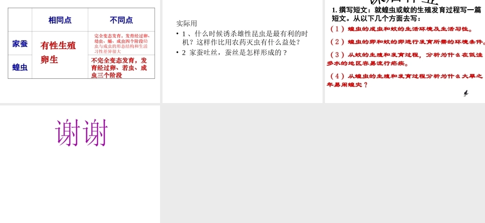 八年级生物上册 昆虫的生殖和发育课件 济南版