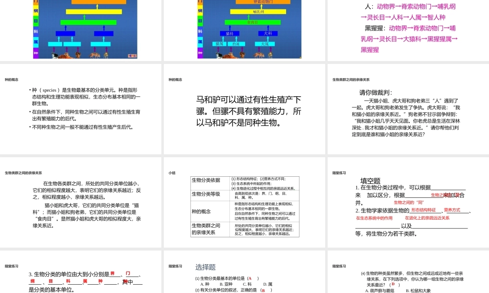 八年级生物上册 5.14.4《生物的分类》课件 （新版）苏教版-（新版）苏教级上册生物课件