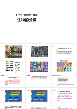 八年级生物上册 5.14.4《生物的分类》课件 （新版）苏教版-（新版）苏教级上册生物课件