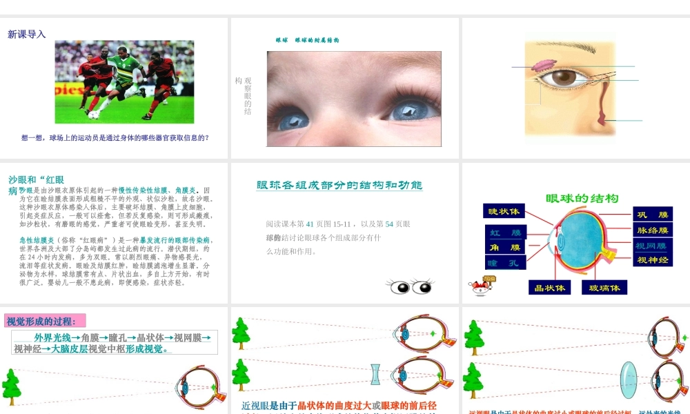 八年级生物上册 6.16.2人体对信息的感知（眼与视觉）课件2 （新版）苏科版-（新版）苏科版初中八年级上册生物课件
