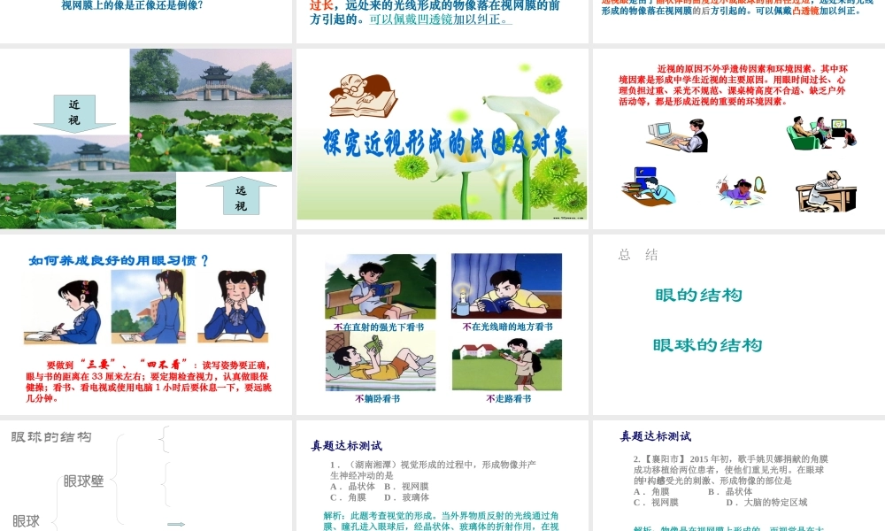 八年级生物上册 6.16.2人体对信息的感知（眼与视觉）课件2 （新版）苏科版-（新版）苏科版初中八年级上册生物课件