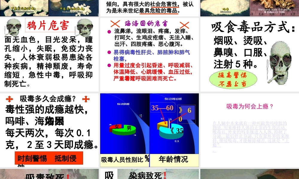 八年级生物上册 昆虫的生殖与发育课件1 苏教版