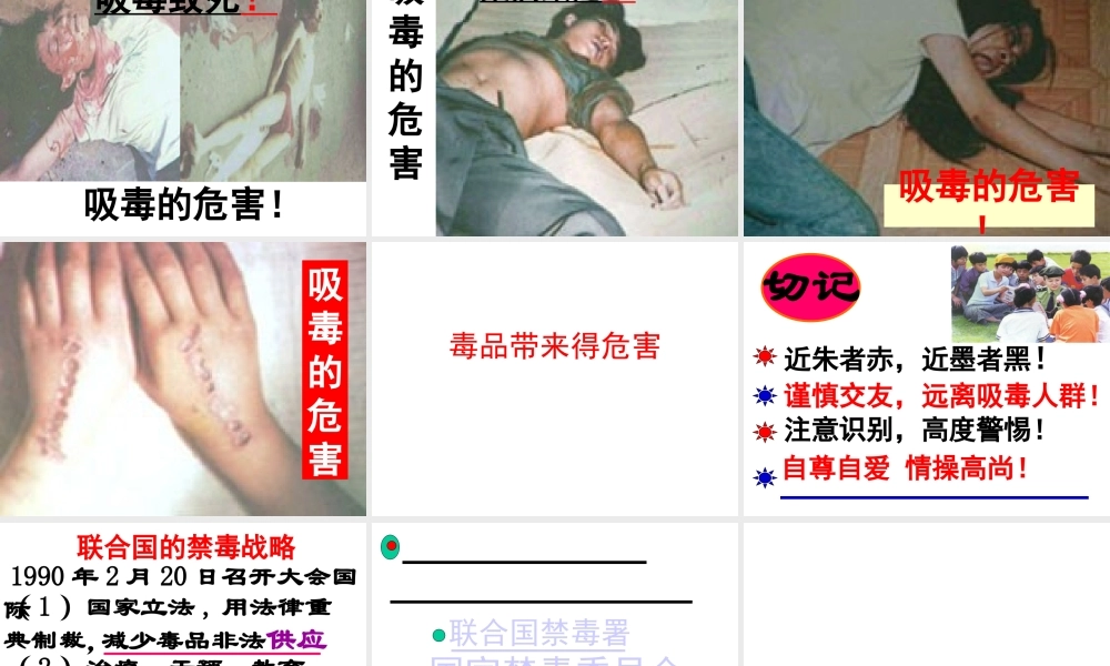 八年级生物上册 昆虫的生殖与发育课件1 苏教版