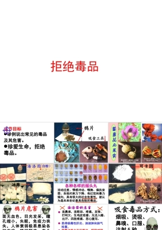 八年级生物上册 昆虫的生殖与发育课件1 苏教版