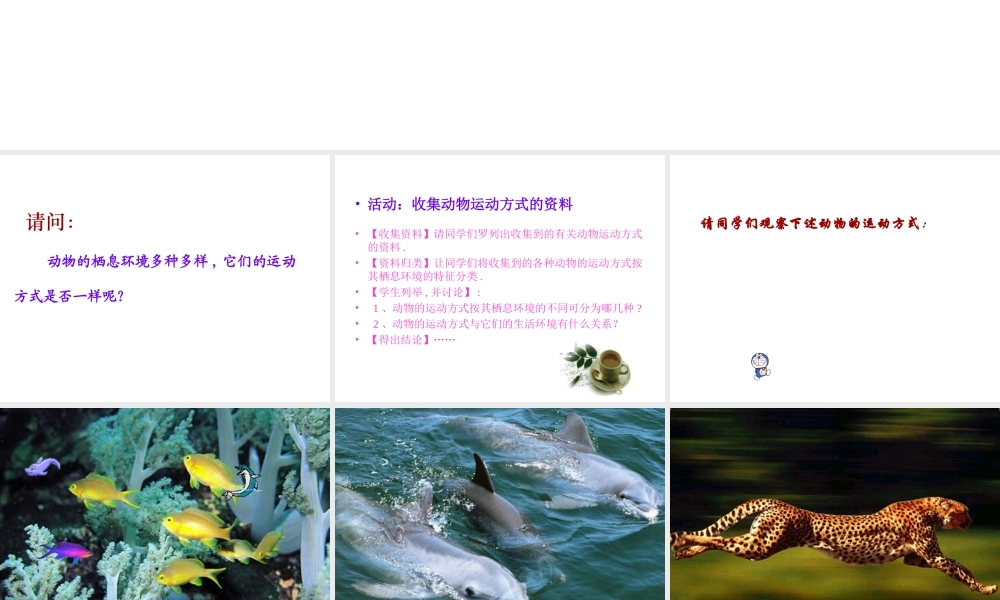 八年级生物上册 5.15.1 动物的运动方式课件 北师大版-北师大版初中八年级上册生物课件