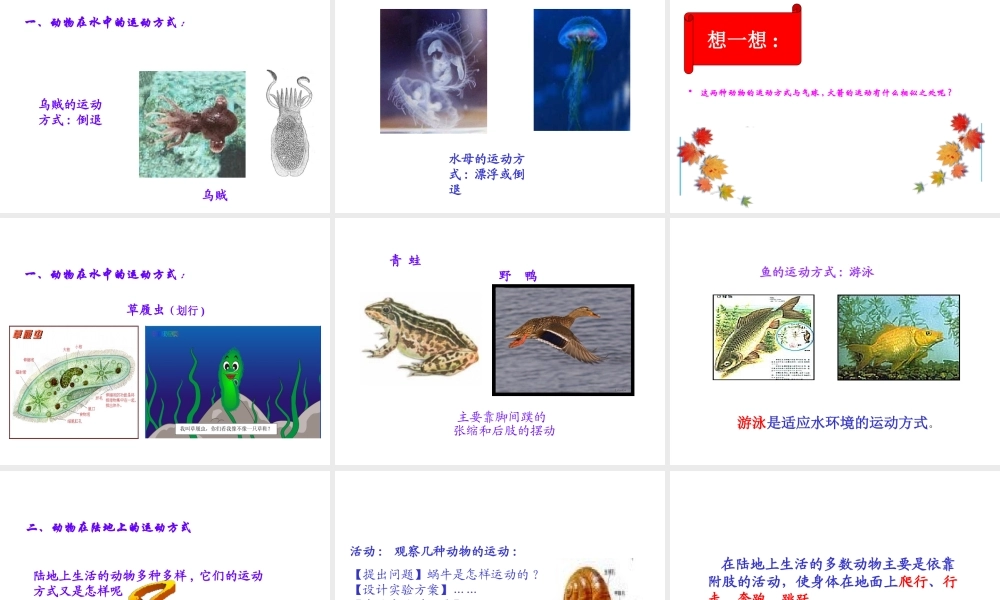 八年级生物上册 5.15.1 动物的运动方式课件 北师大版-北师大级上册生物课件