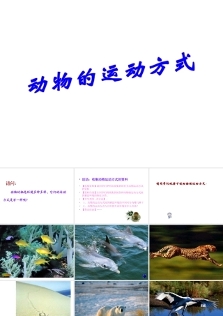八年级生物上册 5.15.1 动物的运动方式课件 北师大版-北师大级上册生物课件