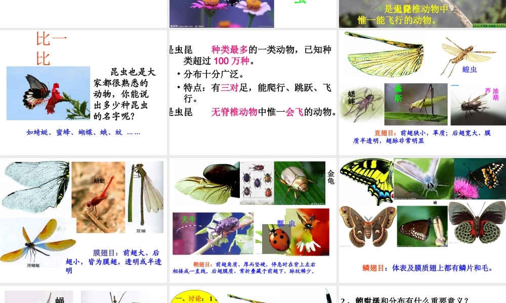 八年级生物上册 5.1.6 鸟（第2课时）课件 （新版）新人教版-（新版）新人教版初中八年级上册生物课件