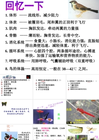 八年级生物上册 5.1.6 鸟（第2课时）课件 （新版）新人教版-（新版）新人教版初中八年级上册生物课件