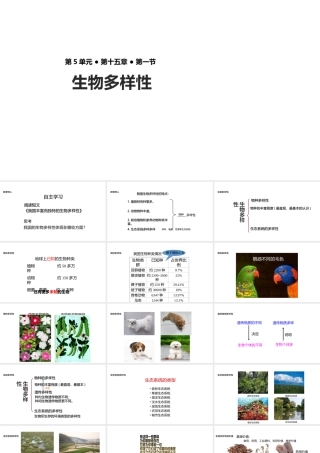 八年级生物上册 5.15.1《生物多样性》课件 （新版）苏教版-（新版）苏教版初中八年级上册生物课件