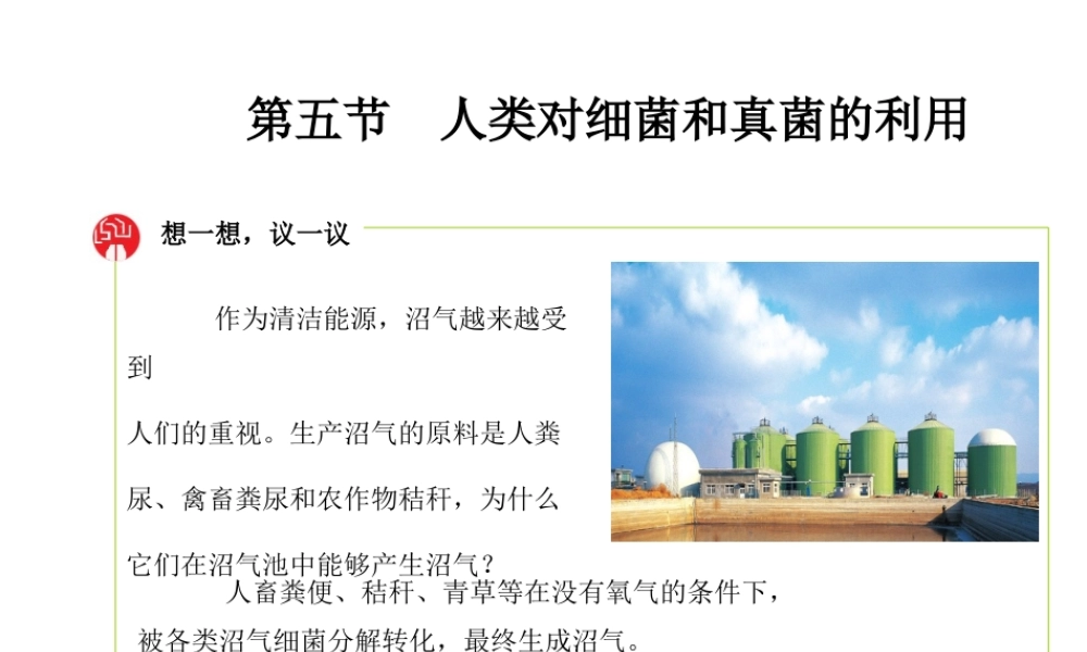 八年级生物上册 5.4.5《人类对细菌和真菌的利用》课件1 （新版）新人教版-（新版）新人教版初中八年级上册生物课件