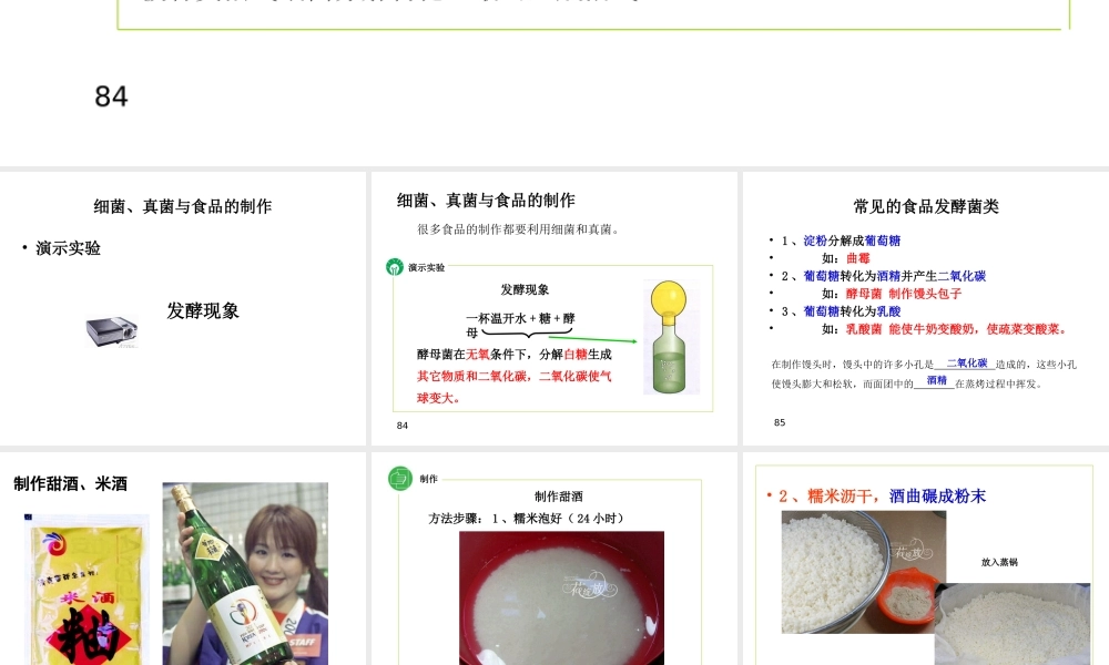 八年级生物上册 5.4.5《人类对细菌和真菌的利用》课件1 （新版）新人教版-（新版）新人教版初中八年级上册生物课件