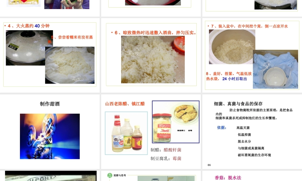 八年级生物上册 5.4.5《人类对细菌和真菌的利用》课件1 （新版）新人教版-（新版）新人教版初中八年级上册生物课件