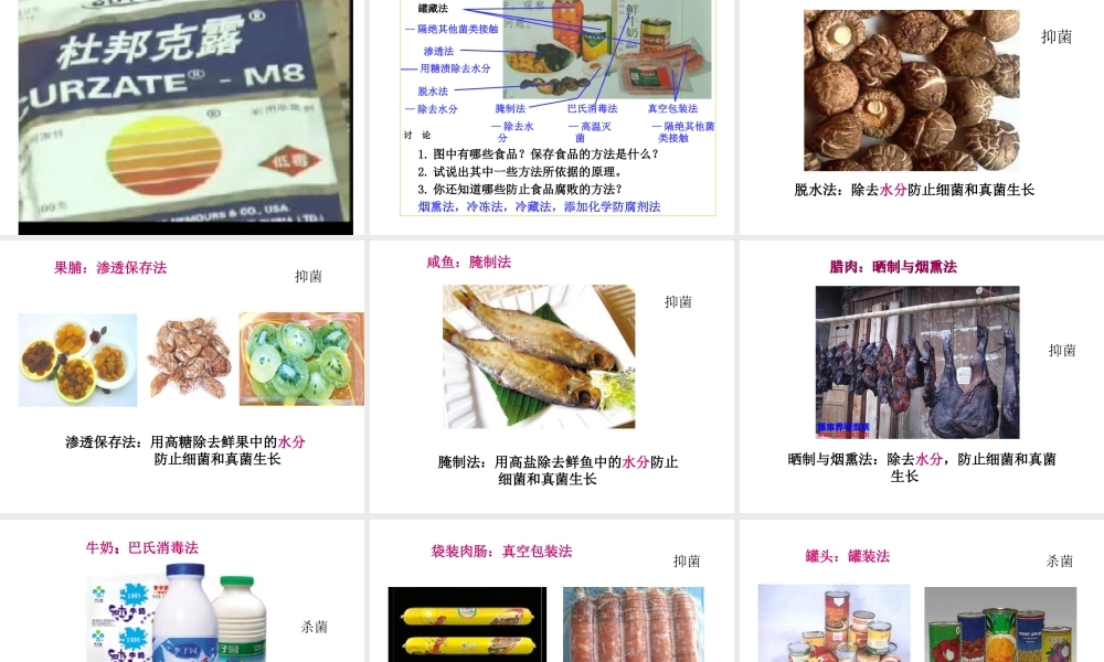 八年级生物上册 5.4.5《人类对细菌和真菌的利用》课件1 （新版）新人教版-（新版）新人教版初中八年级上册生物课件