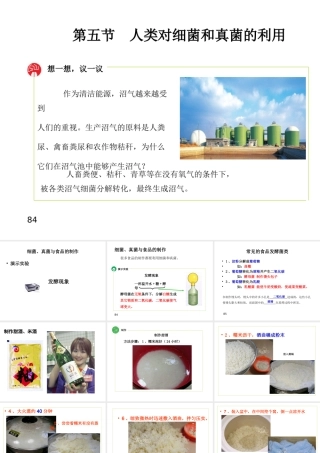 八年级生物上册 5.4.5《人类对细菌和真菌的利用》课件1 （新版）新人教版-（新版）新人教版初中八年级上册生物课件