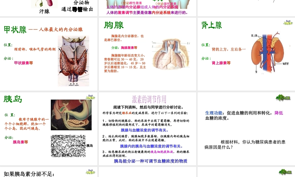 八年级生物上册 6.16.3《人体的激素调节》课件 （新版）苏科版-（新版）苏科版初中八年级上册生物课件