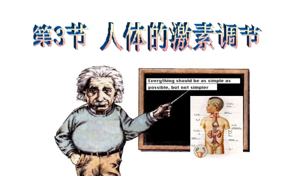 八年级生物上册 6.16.3《人体的激素调节》课件 （新版）苏科版-（新版）苏科级上册生物课件