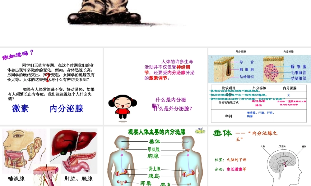 八年级生物上册 6.16.3《人体的激素调节》课件 （新版）苏科版-（新版）苏科级上册生物课件