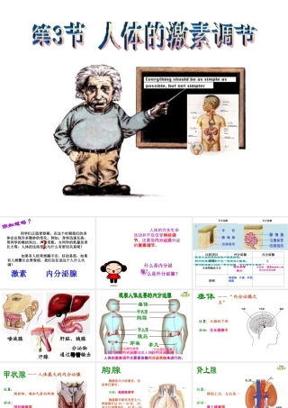 八年级生物上册 6.16.3《人体的激素调节》课件 （新版）苏科版-（新版）苏科级上册生物课件