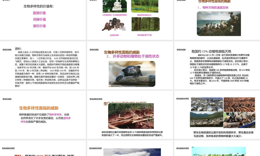 八年级生物上册 5.15.2《保护生物多样性的艰巨使命》课件 （新版）苏教版-（新版）苏教版初中八年级上册生物课件