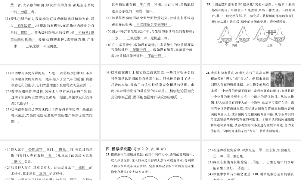 八年级生物上册 期末标测试课件二 （新版）新人教版-（新版）新人教版初中八年级上册生物课件