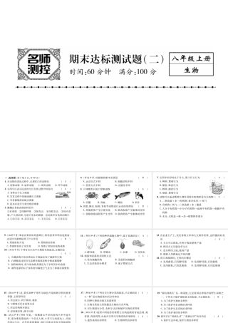 八年级生物上册 期末标测试课件二 （新版）新人教版-（新版）新人教版初中八年级上册生物课件