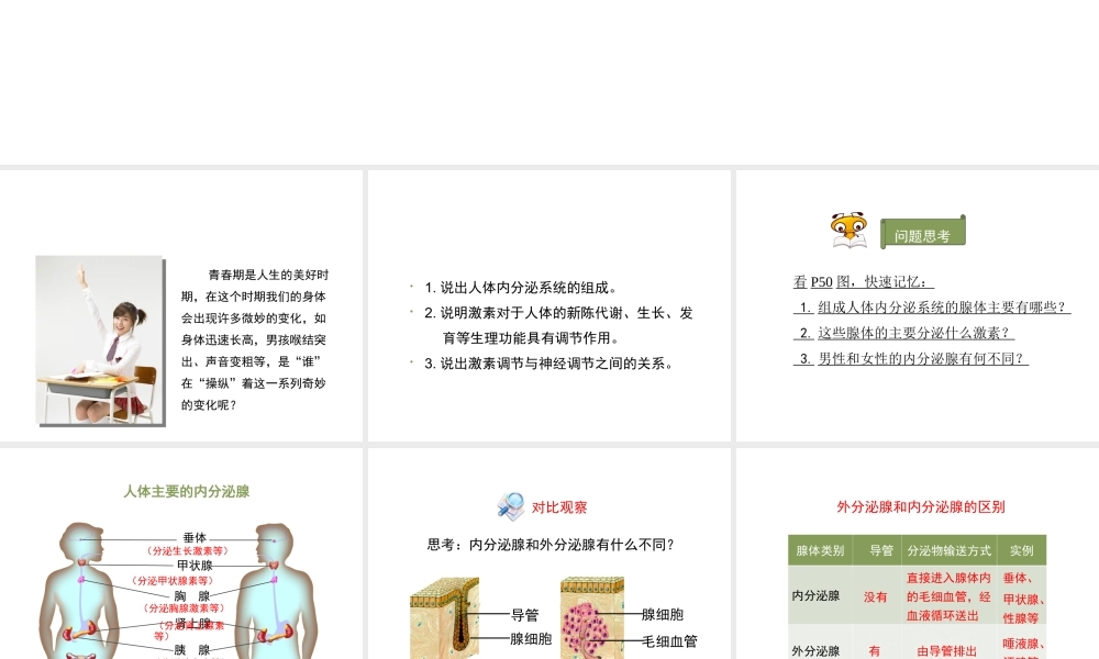 八年级生物上册 6.16.3《人体的激素调节》课件1 （新版）苏科版-（新版）苏科版初中八年级上册生物课件