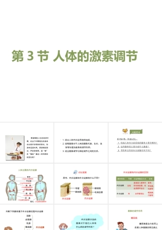 八年级生物上册 6.16.3《人体的激素调节》课件1 （新版）苏科版-（新版）苏科版初中八年级上册生物课件