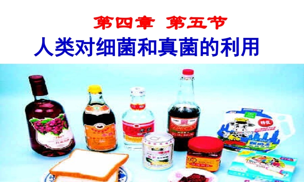 八年级生物上册 5.4.5《人类对细菌和真菌的利用》课件2 （新版）新人教版-（新版）新人教版初中八年级上册生物课件