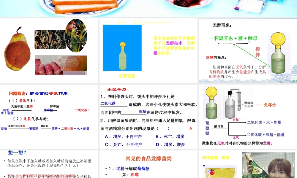 八年级生物上册 5.4.5《人类对细菌和真菌的利用》课件2 （新版）新人教版-（新版）新人教版初中八年级上册生物课件