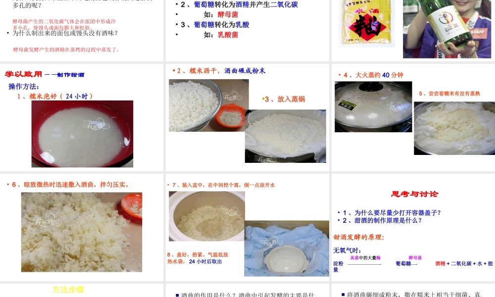 八年级生物上册 5.4.5《人类对细菌和真菌的利用》课件2 （新版）新人教版-（新版）新人教版初中八年级上册生物课件