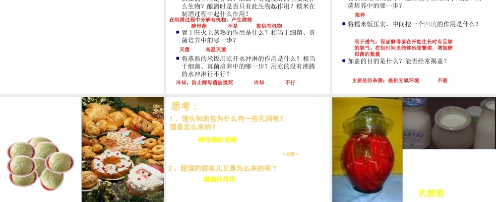 八年级生物上册 5.4.5《人类对细菌和真菌的利用》课件2 （新版）新人教版-（新版）新人教版初中八年级上册生物课件