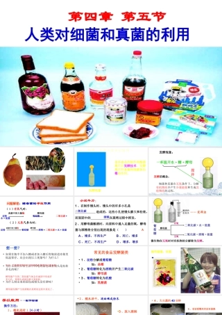 八年级生物上册 5.4.5《人类对细菌和真菌的利用》课件2 （新版）新人教版-（新版）新人教版初中八年级上册生物课件