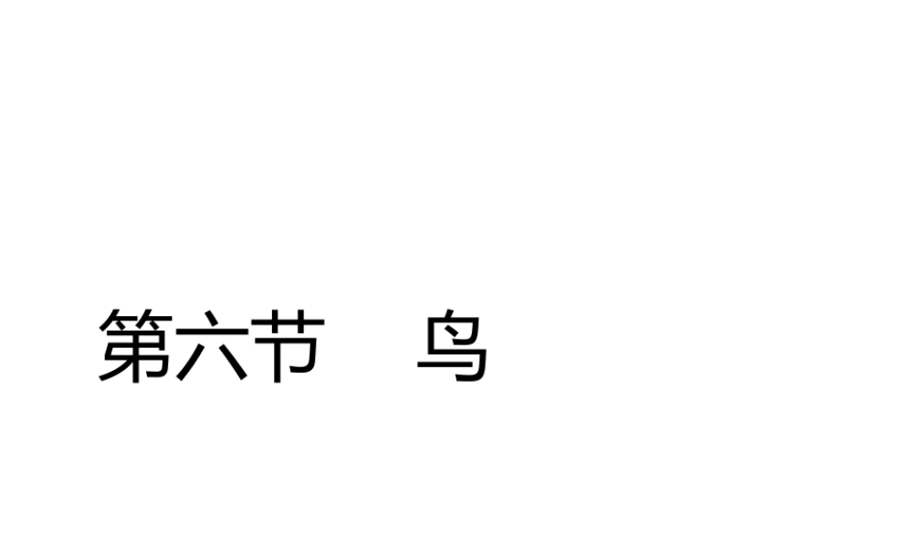 八年级生物上册 5.1.6 鸟教学课件 （新版）新人教版-（新版）新人教版初中八年级上册生物课件