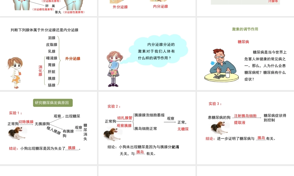 八年级生物上册 6.16.3《人体的激素调节》课件1 （新版）苏科版-（新版）苏科级上册生物课件