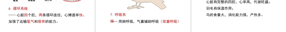 八年级生物上册 7.1.6《鸟类》课件 鲁科版五四制-鲁科级上册生物课件