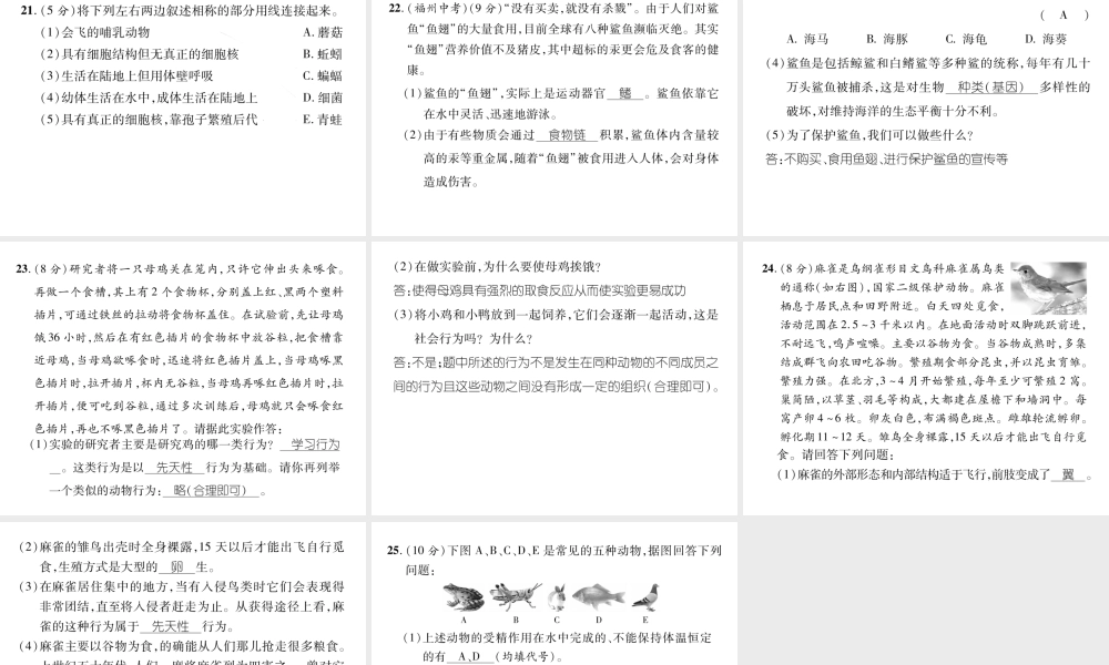 八年级生物上册 期末标测试课件一 （新版）新人教版-（新版）新人教版初中八年级上册生物课件