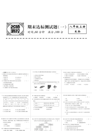 八年级生物上册 期末标测试课件一 （新版）新人教版-（新版）新人教版初中八年级上册生物课件