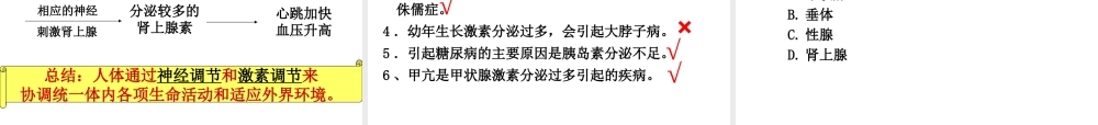 八年级生物上册 6.16.3《人体的激素调节》课件2 （新版）苏科版-（新版）苏科级上册生物课件