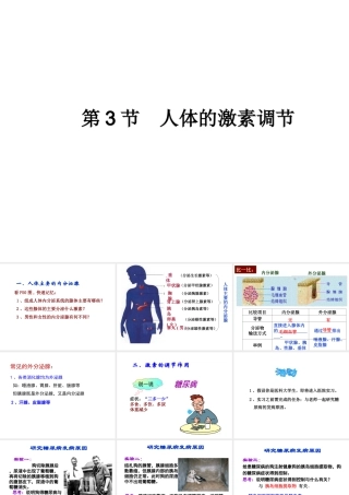 八年级生物上册 6.16.3《人体的激素调节》课件2 （新版）苏科版-（新版）苏科级上册生物课件