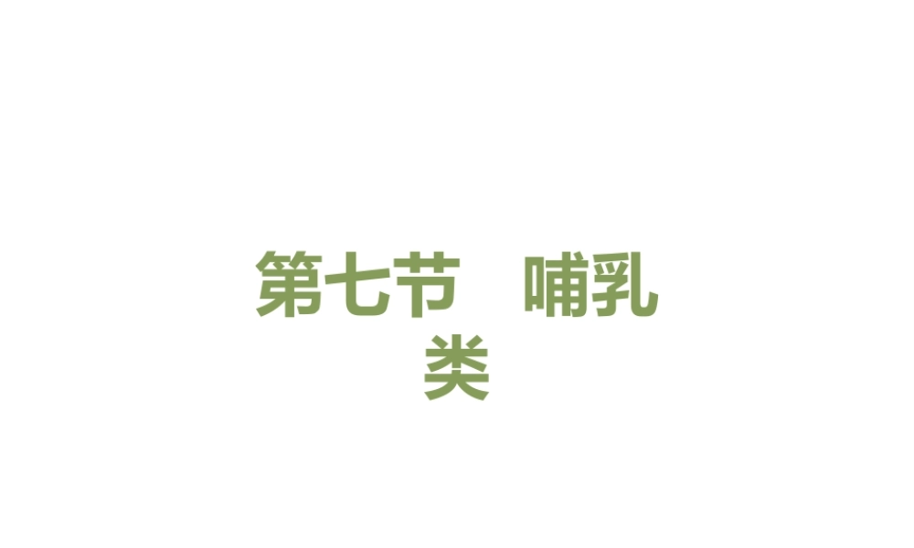 八年级生物上册 7.1.7《哺乳类》课件 鲁科版五四制-鲁科版初中八年级上册生物课件