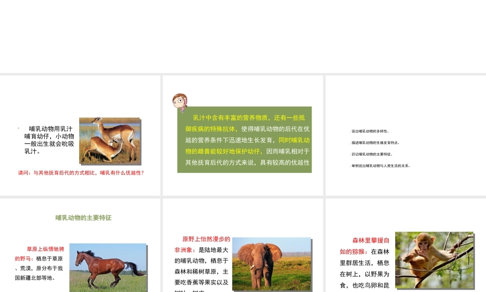 八年级生物上册 7.1.7《哺乳类》课件 鲁科版五四制-鲁科版初中八年级上册生物课件