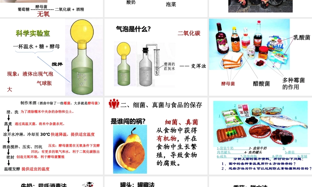 八年级生物上册 5.4.5《人类对细菌和真菌的利用》课件3 （新版）新人教版-（新版）新人教版初中八年级上册生物课件