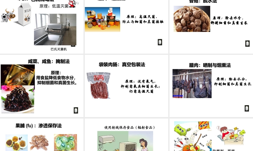 八年级生物上册 5.4.5《人类对细菌和真菌的利用》课件3 （新版）新人教版-（新版）新人教版初中八年级上册生物课件