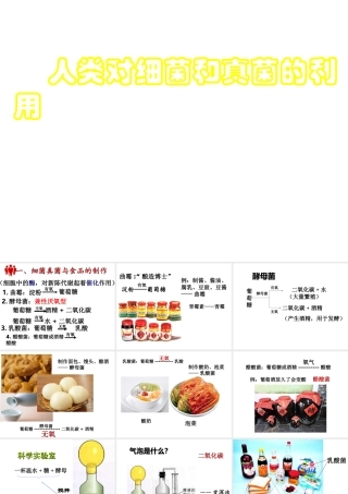 八年级生物上册 5.4.5《人类对细菌和真菌的利用》课件3 （新版）新人教版-（新版）新人教版初中八年级上册生物课件