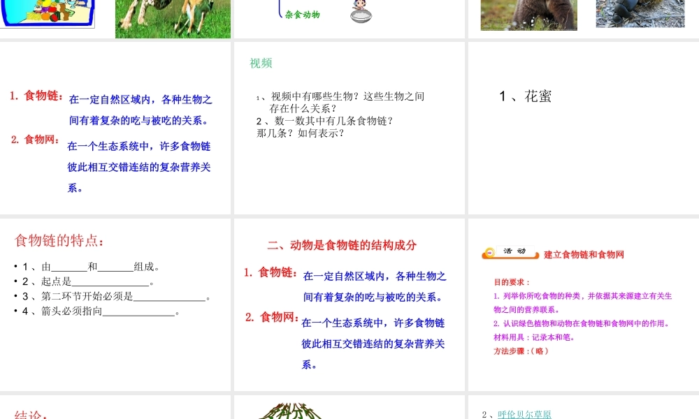 八年级生物上册 5.17.1 动物在生物圈中的作用演示文稿课件 北师大版