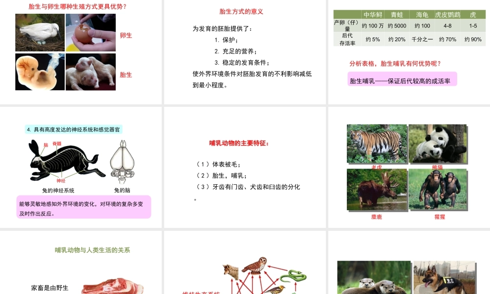 八年级生物上册 7.1.7《哺乳类》课件 鲁科版五四制-鲁科级上册生物课件